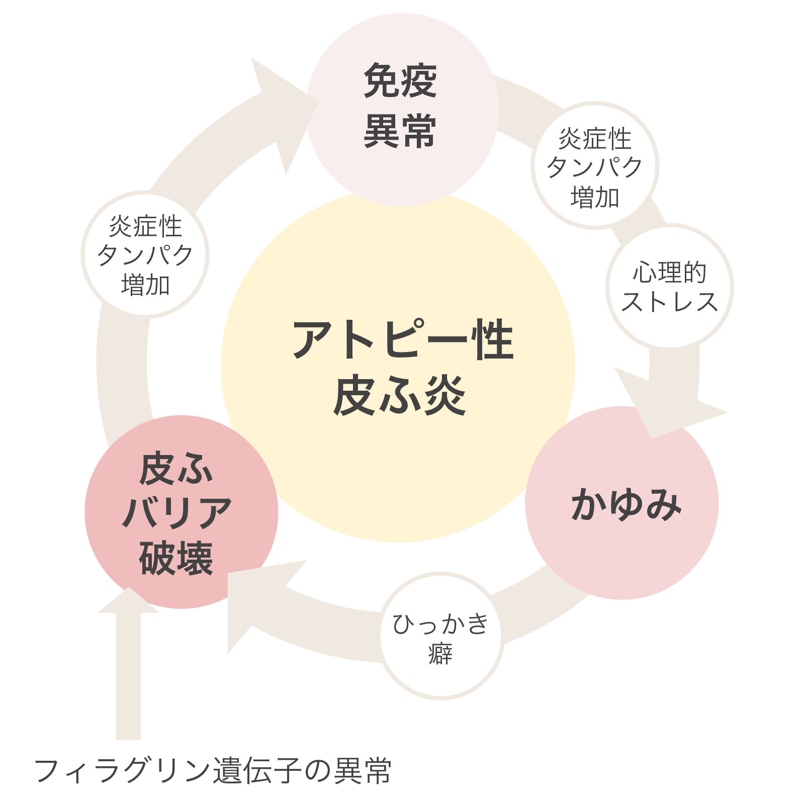 アトピーのメカニズムの図